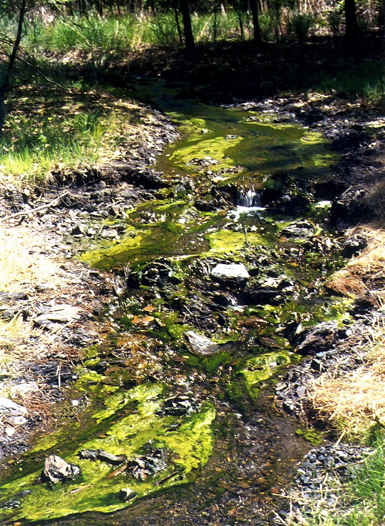 Stream