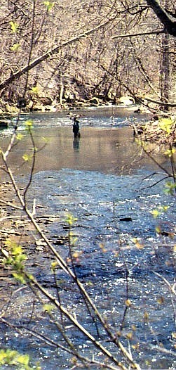 Fisherman in Peters Creek