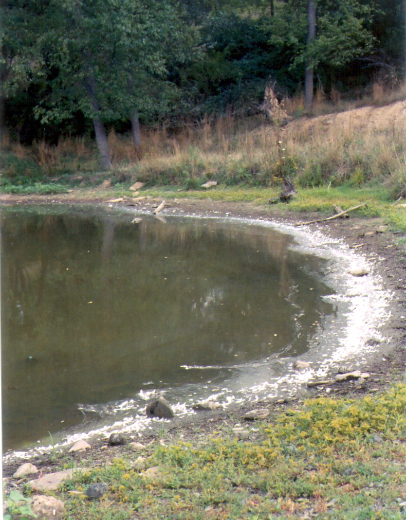 Foul Pond