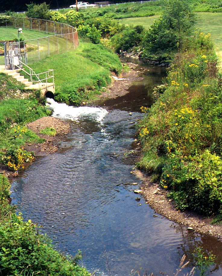 Stream