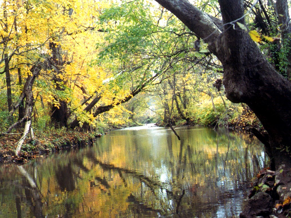 Stream