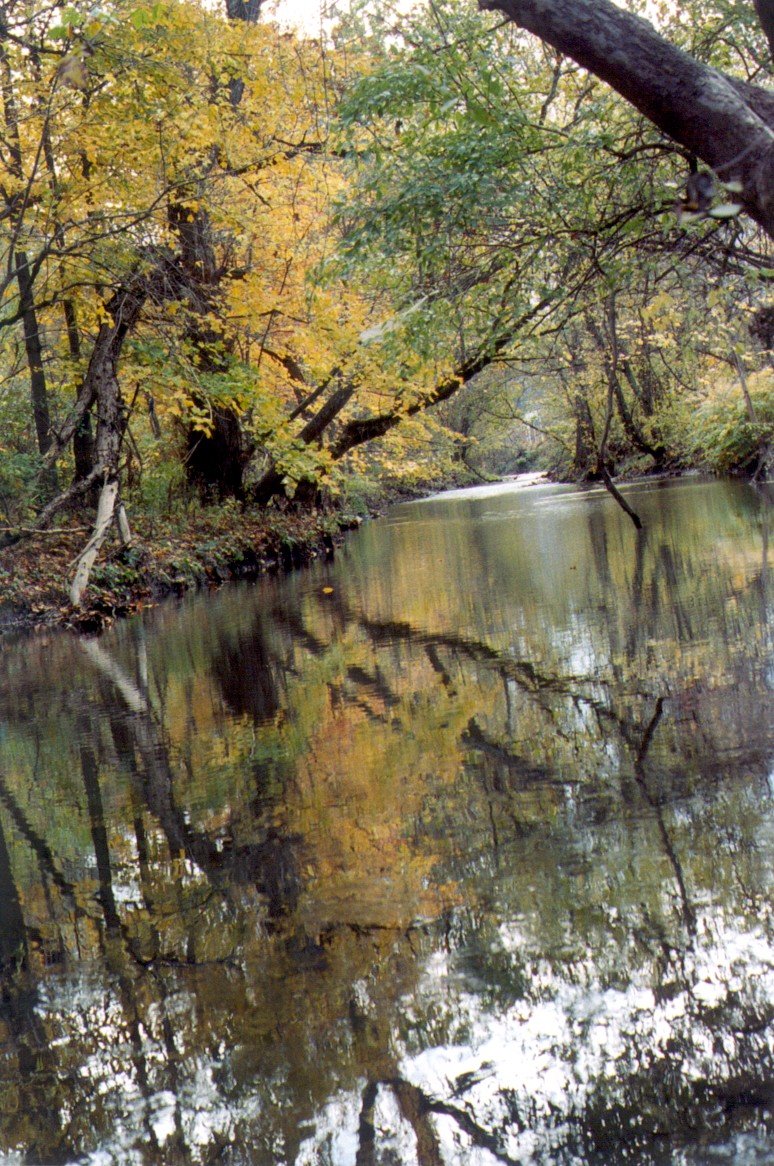 Peters Creek Large PA