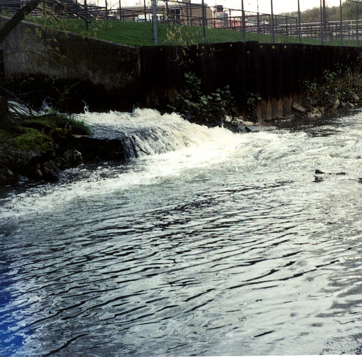 Foul Pond